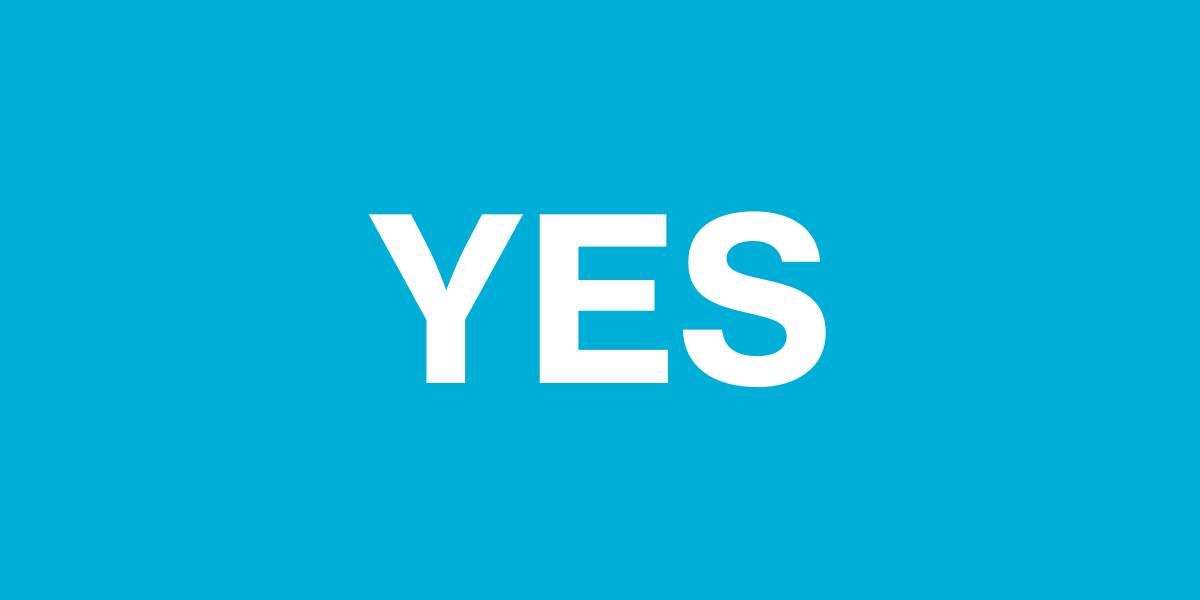 YES NO